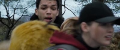 Psyduck I hated rubbing your feet - Pokémon Detective Pikachu