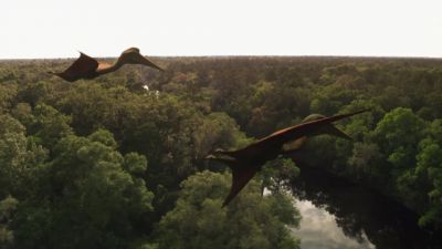 (pterosaur bellows) - Nova