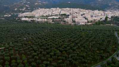 Puglia's olive-growing farmers, - Europe From Above