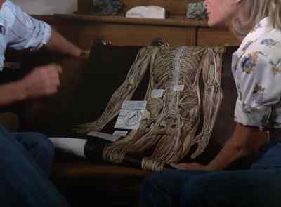 Pull back, Steve! Pull back! - The Six Million Dollar Man
