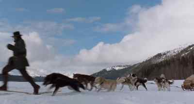 Pull, Digger! Come on, boy! - White Fang