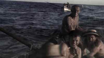 Pull in, men! Closer! - Moby Dick