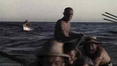 Pull in! - Moby Dick