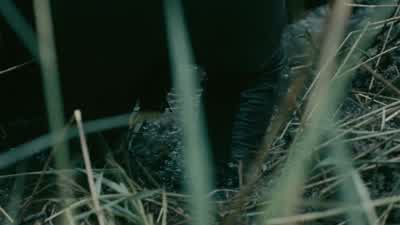 Pull! Pull! Pull! Pull! Pull! Pull! Pull! Pull! Pull harder! - Vikings
