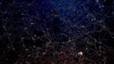 Pulses of voltage
that represent information. - Human: The World Within