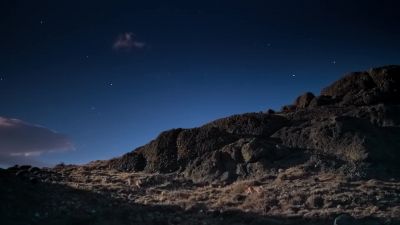 Pumas' night vision is six times more sensitive than ours. - Earth at Night in Color