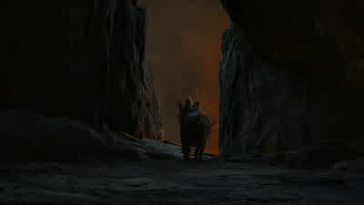 Pumbaa, I think we lost them. - The Lion King