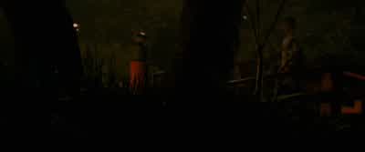 Pumpkin. - Memoirs of a Geisha