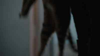 Pumpkin! - Ghost in the Shell