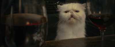 -Punch. [clicking tongue] Punch.
-So, um… - The Woman in the Window