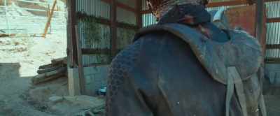 (punch thuds) (Kaak grunts) - Alien Planet