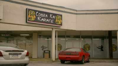 -[punching sounds]
-[measured breathing] - Cobra Kai