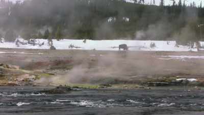 Punke: He knows that
it's this vast place. - The American Buffalo