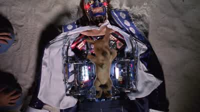 Puppy power! - Scooby Doo