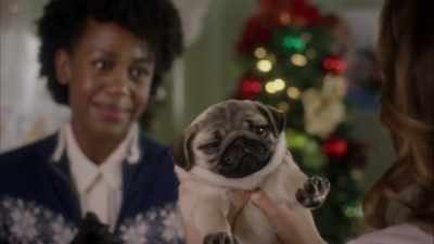 [Puppy whines] - Christmas in Evergreen