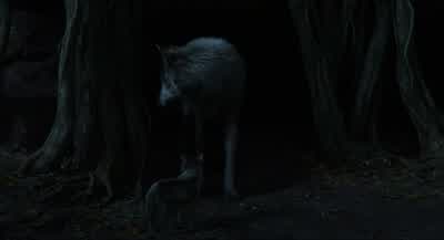Pups? They're up there. - The Jungle Book