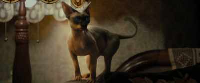 [purring] - Nightbooks