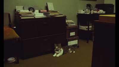 [purring] - Marriage Story