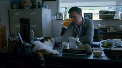 [purrs] - The Healing Powers of Dude