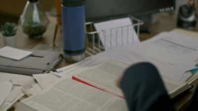 "Pursuant to paragraph 26, - Flipping for Christmas