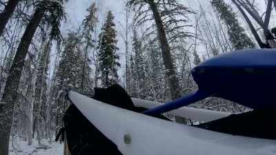 Push all this building
material with an eight-dog team. - Life Below Zero: Next Generation