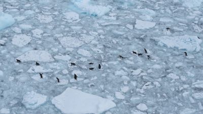 Pushing through brash ice is hard work. - Hostile Planet