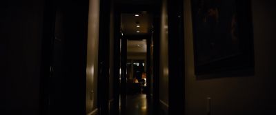 PUSHKIN ON SPEAKERPHONE Was my message received Teddy - The Equalizer
