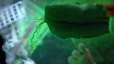 -Put it all together.
-Put it all together. - Fraggle Rock: Back to the Rock