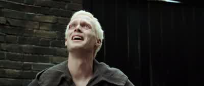 Put it down now! - The Da Vinci Code