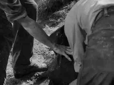 Put him right here. - Intruder in the Dust
