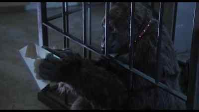 Put it right up here. - The Incredible Shrinking Woman