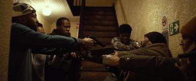 Put the fucking guns down - Bushwick