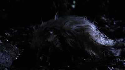 Put the poor beast out of its misery. - Masters of Horror