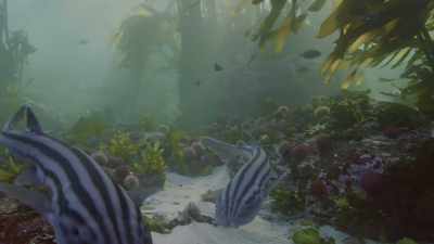 Pyjama sharks
are every octopus' worst nightmare. - Oceans: Our Blue Planet