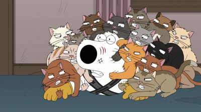 Quagmire, no. - Family Guy