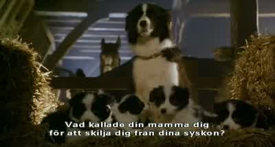¿- Qué es, Mamá? - Babe