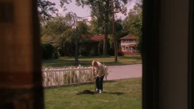 ¿Qué hace? - Flipped