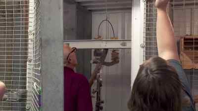 Queenie is just so well behaved
it's unbelievable. - The Incredible Dr. Pol