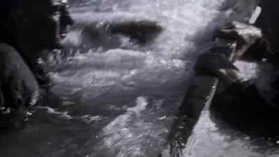 Queequeg, my fine friend, - Moby Dick