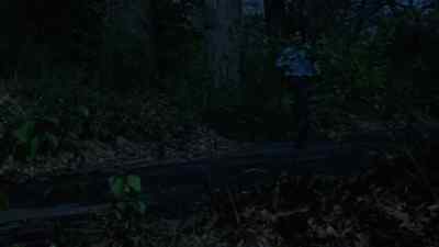 Quentin: Alex. - Night of Dark Shadows