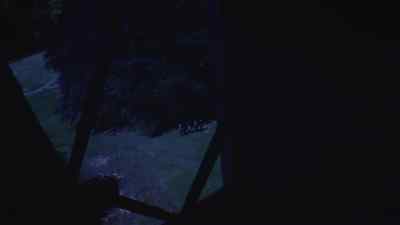 Quentin: Alex? - Night of Dark Shadows
