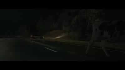 QUENTIN: Is everyone all right? - Paper Towns