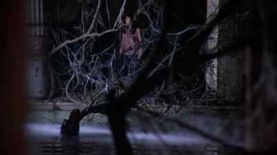 Quentin? - Night of Dark Shadows