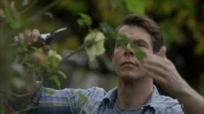 Question, - Signed, Sealed, Delivered: Higher Ground