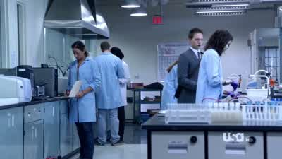 Question. - Suits