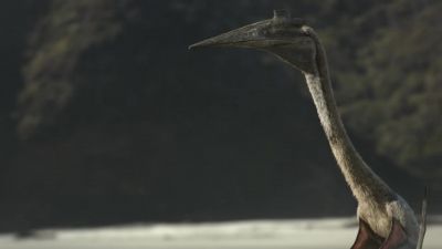 Quetzalcoatlus, a giant pterosaur. - Prehistoric Planet