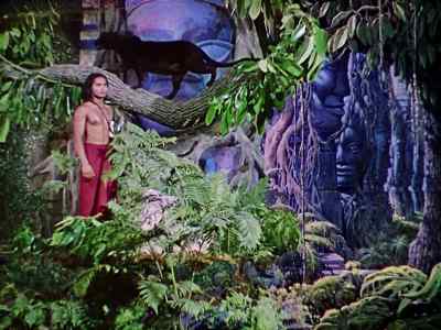 Quiet, you grinning black shadow. - Jungle Book