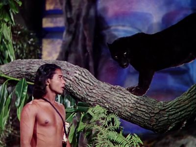 Quiet you grinning black shadow - Jungle Book