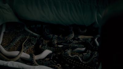 [quiet hissing] - The Originals