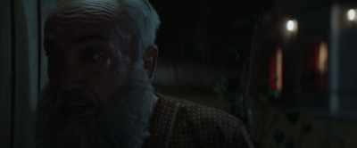 Quiet. Mrs Kaltenbrunner... - My Neighbor Adolf